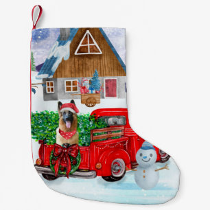 Petite Chaussette De Noël Berger Allemand En Livraison De Noël Camion Neige