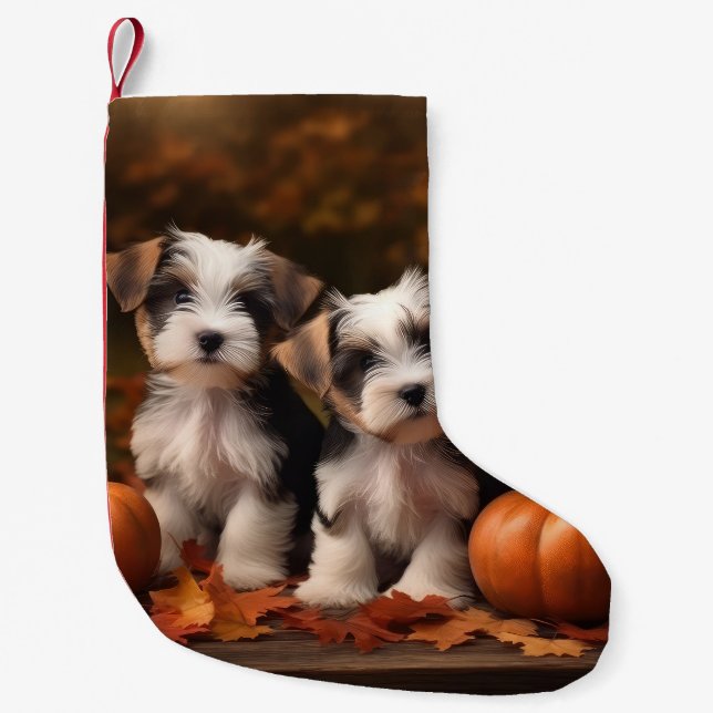 Petite Chaussette De Noël Biewer Terrier Chiot Automne Citrouille délice (Devant)