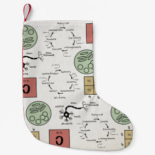 Petite Chaussette De Noël Biologie Science Lab Enseignant École de cellules
