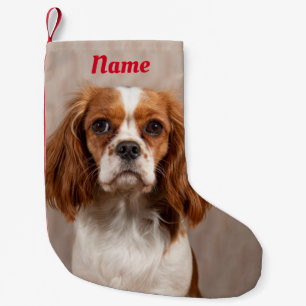 Petite Chaussette De Noël Blenheim Cavalier le roi Charles Spaniel