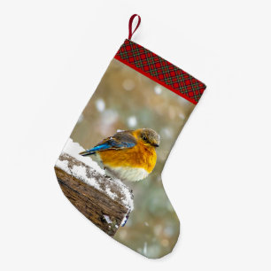 Petite Chaussette De Noël Bleuet de l'Est en neige - Photo originale