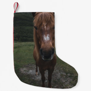PETITE CHAUSSETTE DE NOËL BONJOUR JE SUIS UN CHEVAL