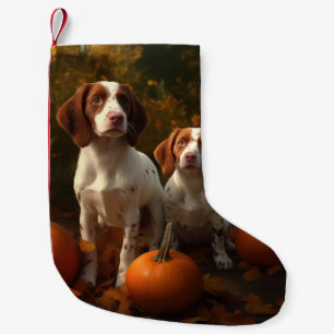 Petite Chaussette De Noël Bretagne Espagnol Chiot Espagnol Automne Délice Ci