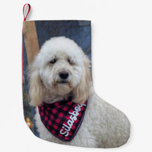Petite Chaussette De Noël Caniche