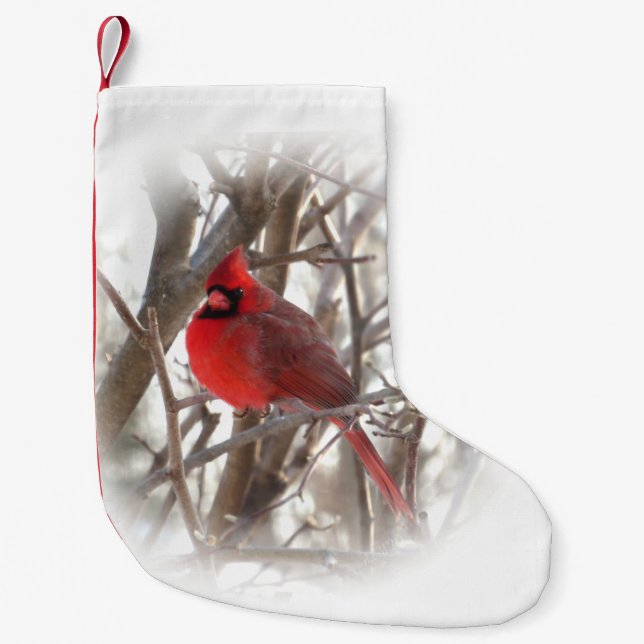 Petite Chaussette De Noël Cardinal masculin2 Noël (Devant)