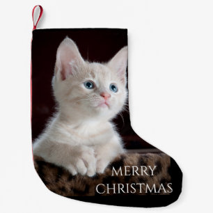 Petite Chaussette De Noël Cat Christmas Stocking.