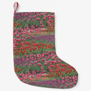 Petite Chaussette De Noël Champ De Tulipes