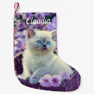 Petite Chaussette De Noël Chat Bébé Bleu Tiré Dans Panier Fleurs violettes