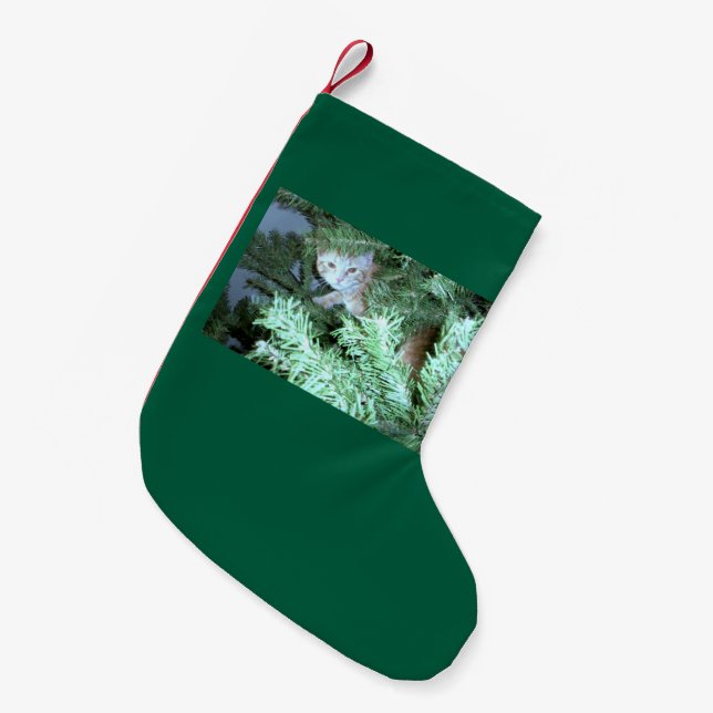 Petite Chaussette De Noël Chat Dans L'Arbre Prise De Noël (Devant (Accrochage))