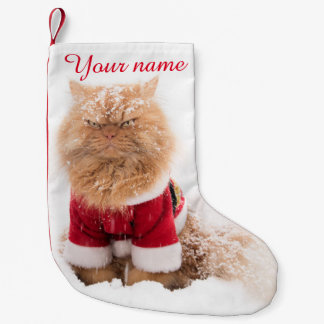 Petite Chaussette De Noël Chat perse avec tenue de Noël dans la neige