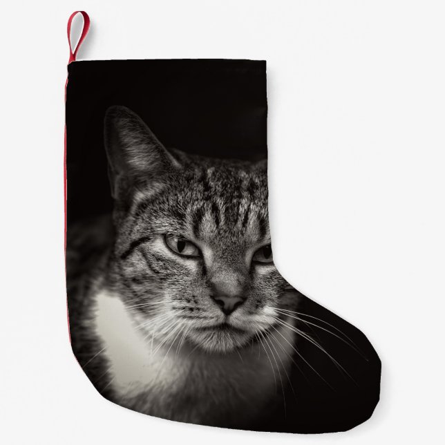 PETITE CHAUSSETTE DE NOËL CHAT TABLEAU D'ARGENT (Devant)