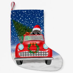 Petite Chaussette De Noël Chien Caniche Conduisant une Voiture à Noël dans l