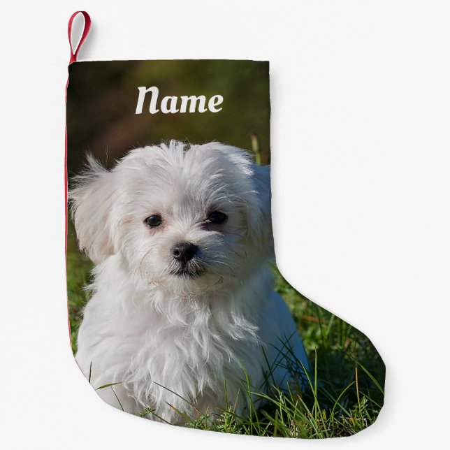 Petite Chaussette De Noël Chien de chiot maltais blanc farci (Devant)