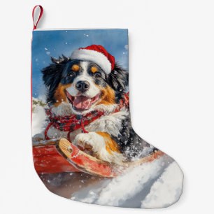 Petite Chaussette De Noël Chien de Montagne bernois en luge Noël