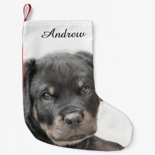 Petite Chaussette De Noël Chien de rottweiler