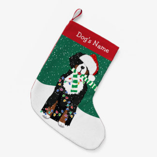 Petite Chaussette De Noël Chien de vacances de Noël Bernese Mountain