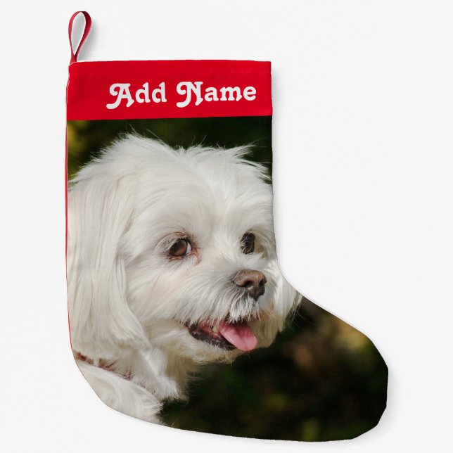 Petite Chaussette De Noël Chien maltais personnalisé - Prise en charge de No (Devant)