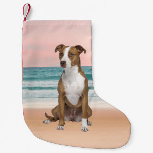 Petite Chaussette De Noël Chien Pitbull mignon assis sur la plage avec couch