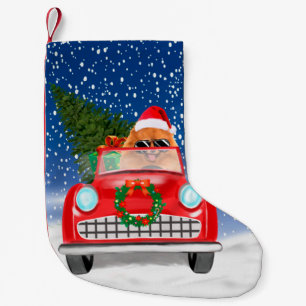 Petite Chaussette De Noël Chien Poméranie Conduisant une Voiture dans la Nei