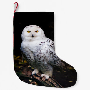 Petite Chaussette De Noël Chouette hivernale majestueuse