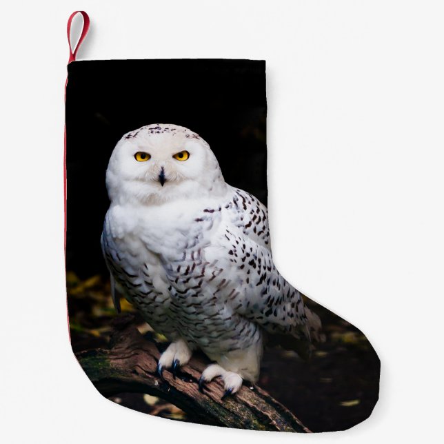 Petite Chaussette De Noël Chouette hivernale majestueuse (Devant)