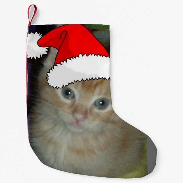 Petite Chaussette De Noël Christmas Orange Tabby Kitten (Devant)