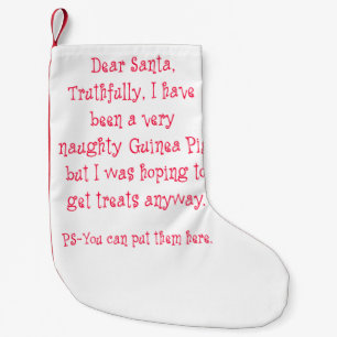 Petite Chaussette De Noël Cobaye vilain