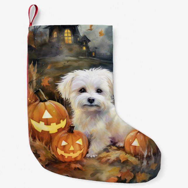 Petite Chaussette De Noël Coton De Tulear Halloween Avec Peur Citrouille (Devant)