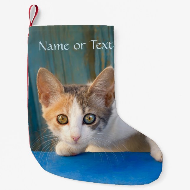 Petite Chaussette De Noël Cute Calico Chat Kitten Drôle Eyes Curieux - Nom - (Devant)