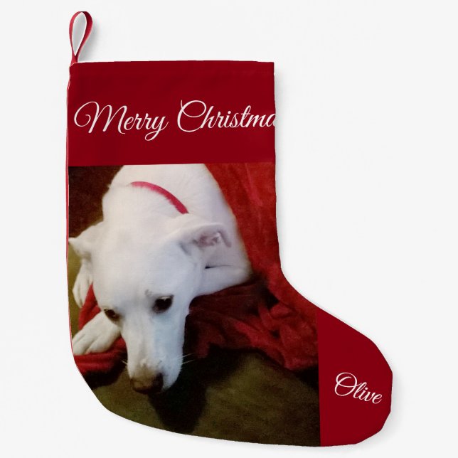 Petite Chaussette De Noël Cute Snowy White Lab Mix Chien Noël Stocker (Devant)