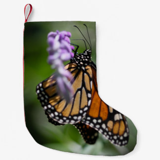 Petite Chaussette De Noël Danaus Plexippus de monarque