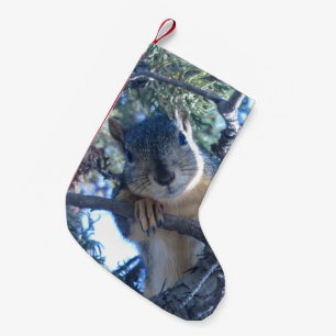 Petite Chaussette De Noël Écureuil dans l'arbre -
