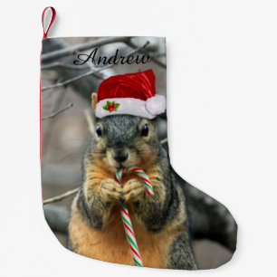 Petite Chaussette De Noël Écureuil de Noël