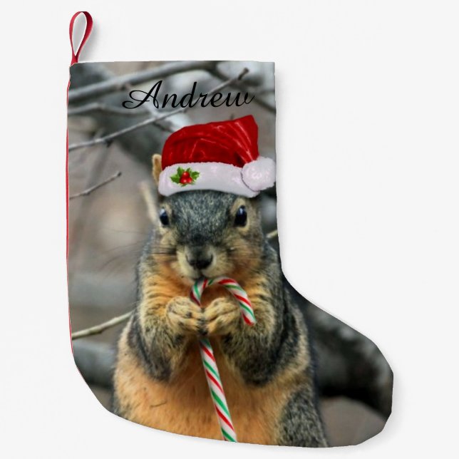 Petite Chaussette De Noël Écureuil de Noël (Devant)