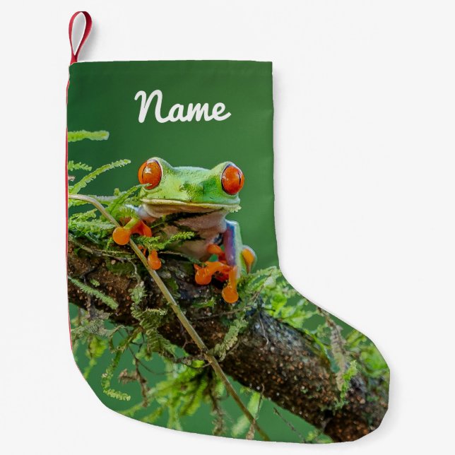 Petite Chaussette De Noël Fermer une grenouille d'arbre rouge (Devant)