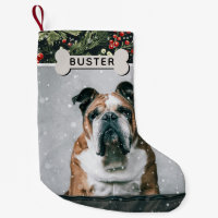 Festive Foliage Custom Chien Photo & Nom