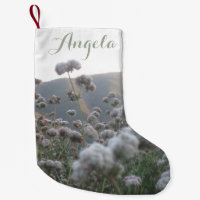 Fleur sauvage de montagne