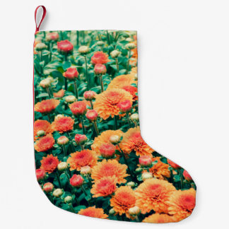 Petite Chaussette De Noël Fleurs florissantes dans un jardin automne, arrièr