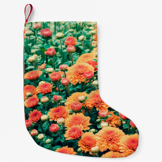 Petite Chaussette De Noël Fleurs florissantes dans un jardin automne, arrièr (Devant)
