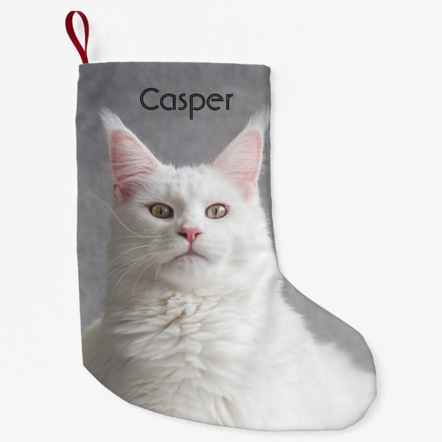 Petite Chaussette De Noël Fluffy Blanc Maine Coon Cat personnalisé (Devant)