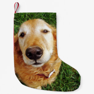 Petite Chaussette De Noël Golden Retriever