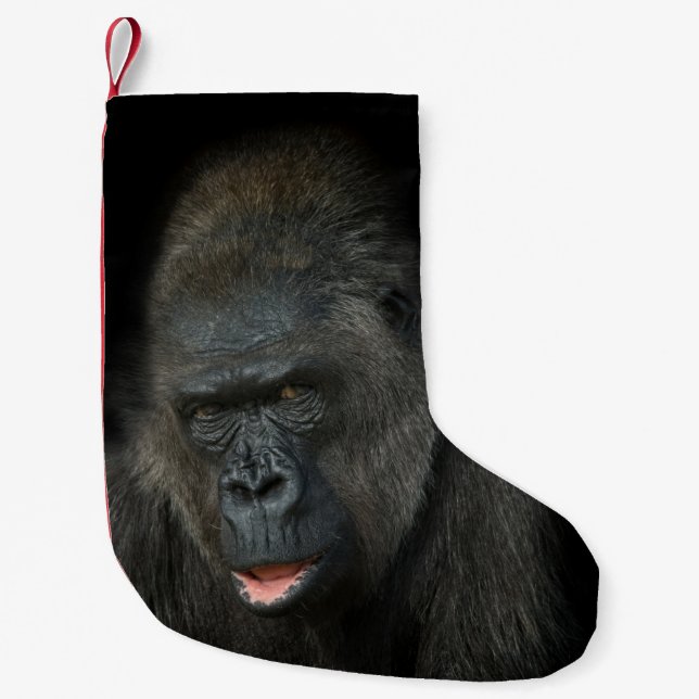 Petite Chaussette De Noël Gorilla Biddy Christmas Stocking (Devant)