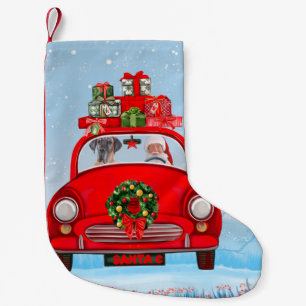 Petite Chaussette De Noël Grand Danois dans une voiture avec le Père Noël