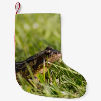 Petite Chaussette De Noël Grenouille