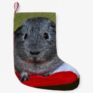 Petite Chaussette De Noël Guinea Pig Christmas