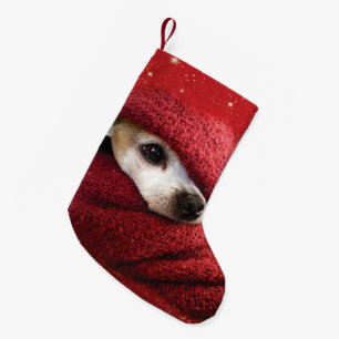 Petite Chaussette De Noël Holiday Chihuahua