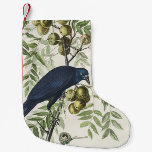 Petite Chaussette De Noël Illustration Audubon Black Crow American Bird