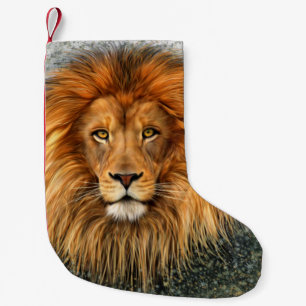 Petite Chaussette De Noël Image d'art de peinture de photographie de lion