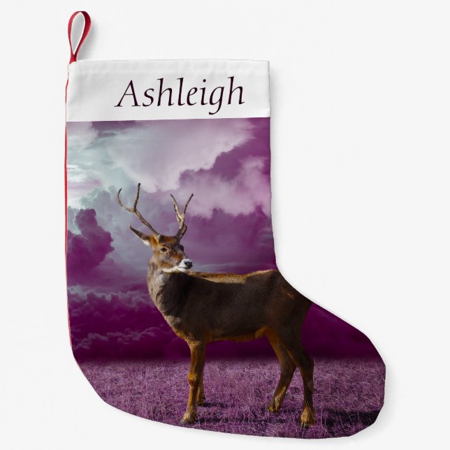 Petite Chaussette De Noël Imaginaire de pourpre de renne (Devant)