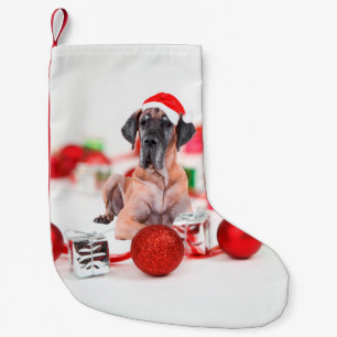 Petite Chaussette De Noël Joli chien Danse Noël Santa Hat